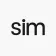 Sim